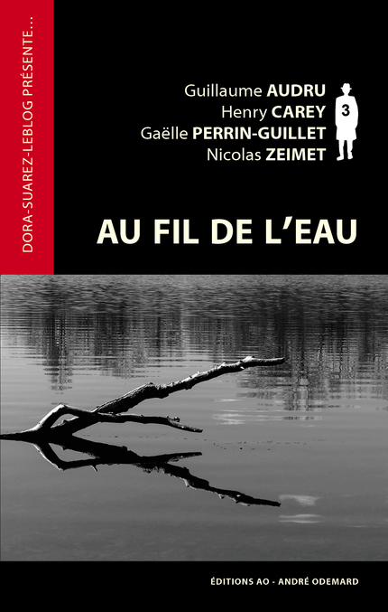 Au fil de l'eau - Guillaume Audru, Henry Carey, Gaëlle Perrin-Guillet, Nicolas Zeimet - Éditions AO - André Odemard